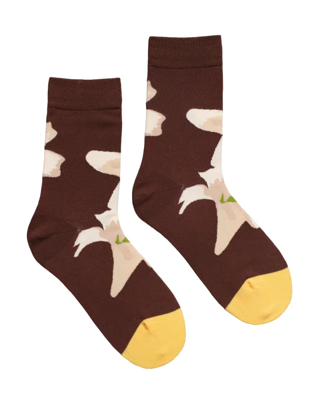 Cocoa Lily Sokker